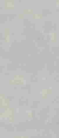 Керамогранит Architeq Light grey rect mat 119,8x279,8 фото 4
