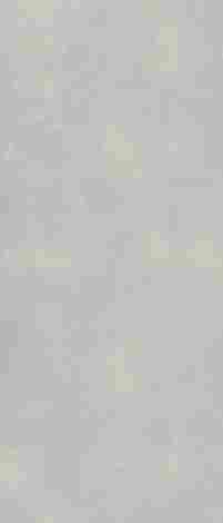 Керамогранит Architeq Light grey rect mat 119,8x279,8