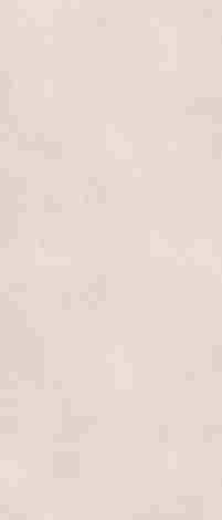 Керамогранит Architeq White rect mat 119,8x279,8