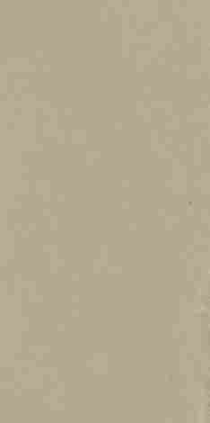 Керамогранит Bergdust Beige rect mat 59,8x119,8 фото 4