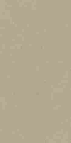 Керамогранит Bergdust Beige rect mat 59,8x119,8 фото 5