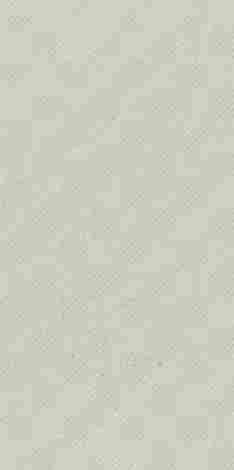 Плитка Bergdust White Dekor rekt mat 29,8x59,8 фото 3