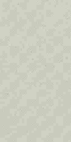 Плитка Bergdust White Dekor rekt mat 29,8x59,8 фото 5