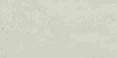Плитка Bergdust White rekt mat 29,8x59,8 фото 5