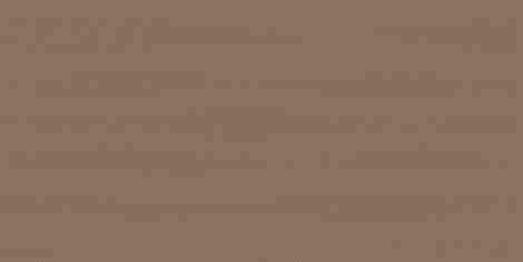 Плитка Calm Taupe Rekt Dekor Polysk 29,8x59,8