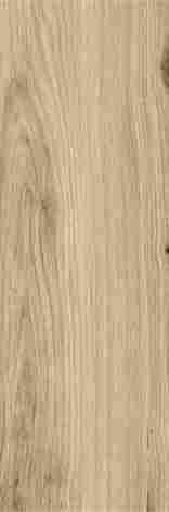 Керамогранит Greatwood Gold struktura mat 20x60 фото 3