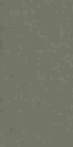 Керамогранит Intero Olive Rect mat 59,8x119,8