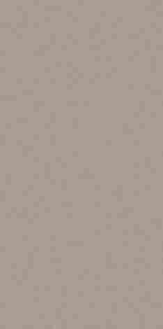 Керамогранит Intero taupe Rect mat 29,8x59,8