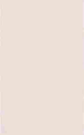 Плитка Martynika Praline 25x40