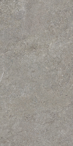 Керамогранит Misty Rock Grey rekt mat 59,8x119,8 фото 2