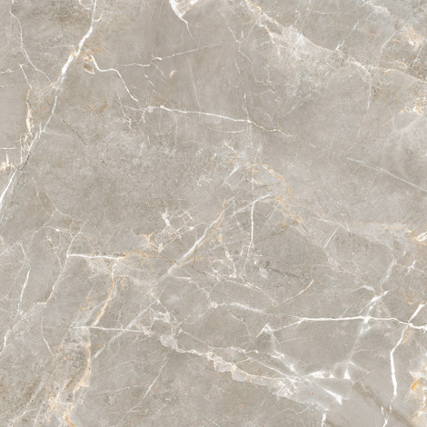 Керамогранит Proud Champagne Crema rekt struktura mat 119,8x119,8 фото 2