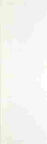 Плитка Shiny Lines Bianco Rekt Organic 29,8x89,8