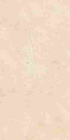 Плитка Sunrise Beige Rekt Polysk 29,8x59,8 фото 2