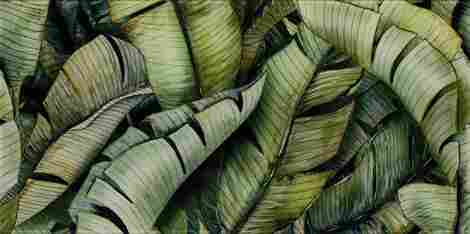 Декор Uniwersalne Inserto Glass Leaf B 30x60