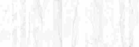 Плитка Museum Torano Bianco Decor 33x100 33,3x100