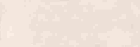 Плитка Salines Bone 33,3x100