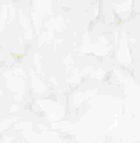 Керамогранит Brais White Glossy 60x60