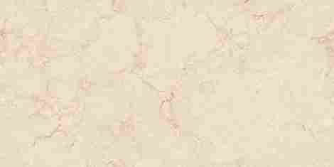 Керамогранит Infinity Venon Bone Endless Carving 80x160 фото 4