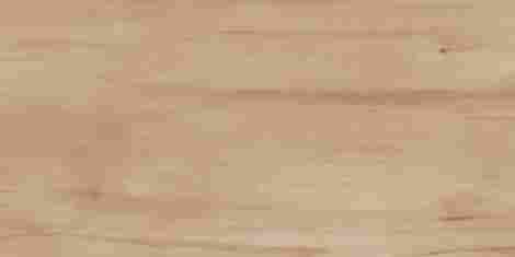 Керамогранит Paint Wood Bone Matt 60x120