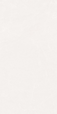 Керамогранит Pure Blanco New Carving 60x120 фото 3