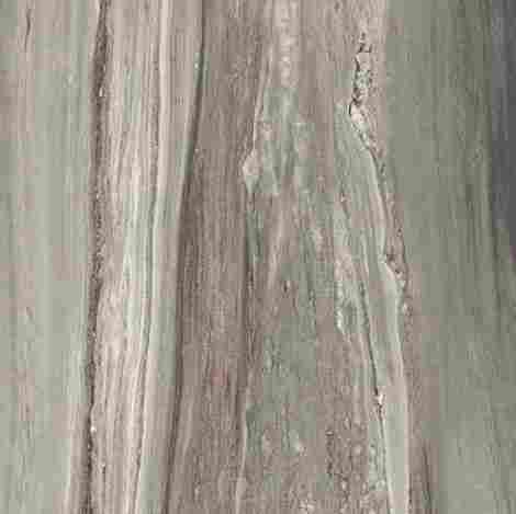 Керамогранит Etoile Tropical glossy 60x60