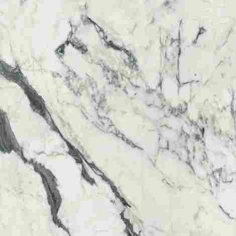 Керамогранит Les Bijoux Calacatta altissimo blanc 6 mm Matt 120x120