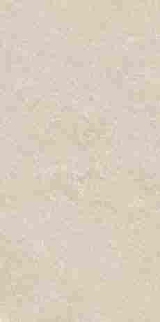 Керамогранит Quartzite Mud StrongX Matt 59,8x119,8