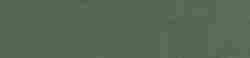 Керамогранит Spectra Herbs Glossy 5,8x25