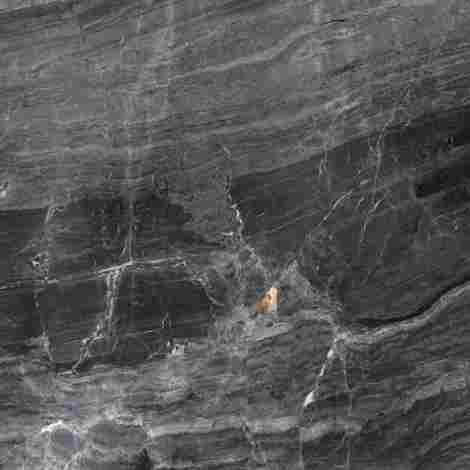 Керамогранит Purity of Marble Breccia Nera Lux Rett 60x60