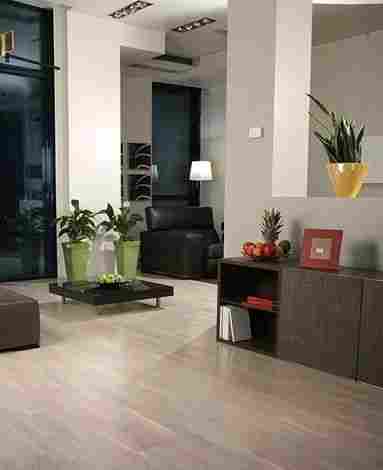 Salsa Дуб Нордик фото 2