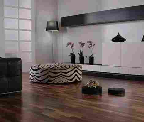 Salsa Орех Американский фото 2