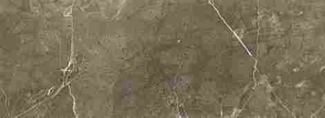 Плитка Chisa olive 32,8x89,8