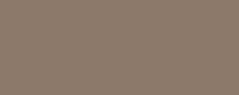 Плитка Colour mocca 29,8x74,8