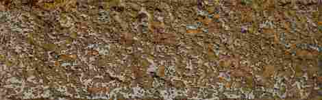 Декор Goldgreen Mix 7,2x22 фото 2