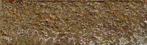 Декор Goldgreen Mix 7,2x22 фото 4