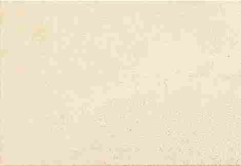 Плитка Magnetia beige polysk 25x36
