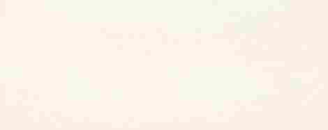 Плитка Mild Garden white 1 STR 29,8x74,8