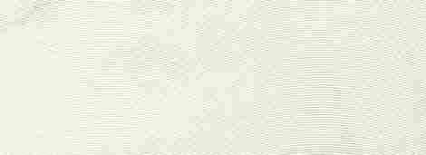 Плитка Organic Matt white 2 STR 32,8x89,8