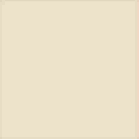 Плитка Pastel Kosc Sloniowa 20x20