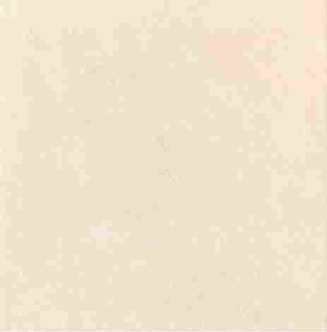 Плитка Pistis beige 44,8x44,8