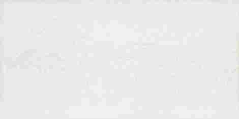 Плитка Ramina white 29,8x59,8