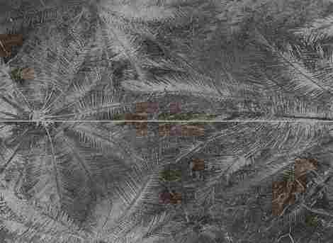 Панно Sedona Palms (из 2-х плиток) 6,8x89,8