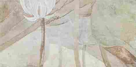 Декор Tortora Decor 1 Tortora flowers B 59,8x119,8