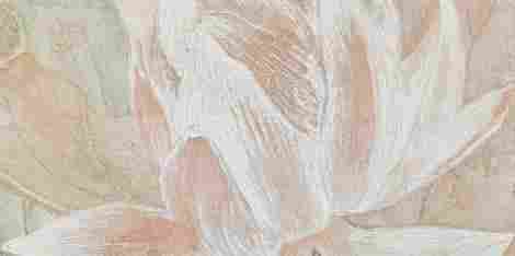 Декор Tortora Decor 2 Tortora flowers A 59,8x119,8