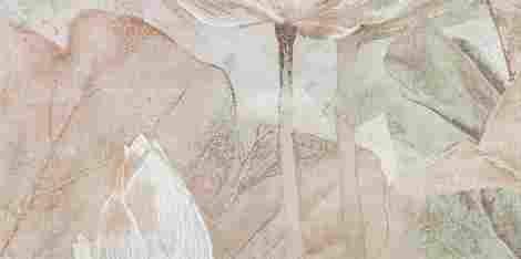 Декор Tortora Decor 2 Tortora flowers B 59,8x119,8