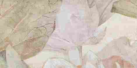 Декор Tortora Decor 3 Tortora flowers A 59,8x119,8