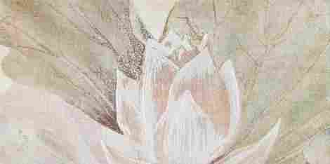 Декор Tortora Decor 3 Tortora flowers B 59,8x119,8