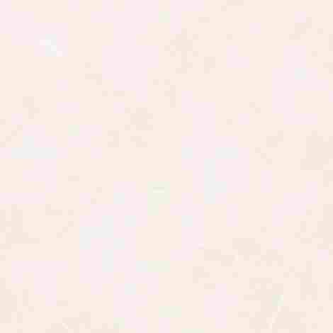 Керамогранит Vezin ivory POL 59,8x59,8