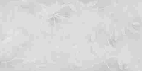Керамогранит ArtWall цветы Серый Матовый 60x120 фото 5