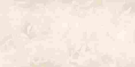 Керамогранит ArtWall цветы Слоновая Кость Матовый 60x120 фото 5